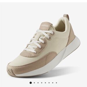 Allbirds Men's Couriers